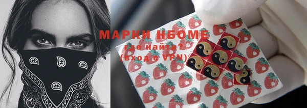 гидропоника Ладушкин